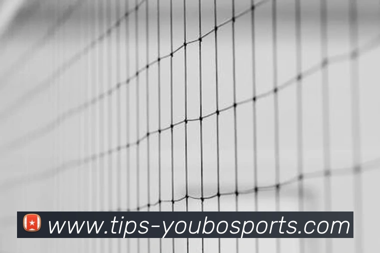 友博体育发展历程